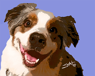 Australian Shepherd puppy painting